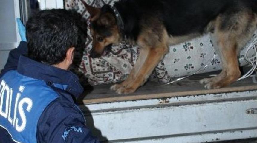 Uyuşturucu Nakli 'ares'e Takıldı