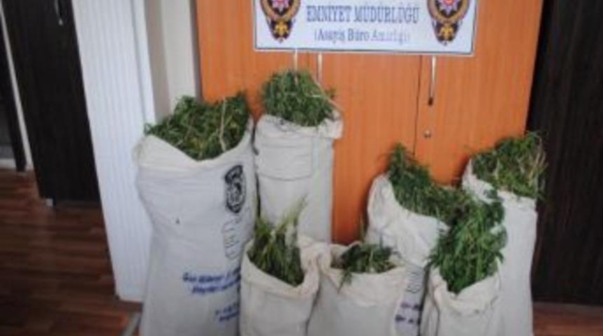 Kırklareli&rsquo;de Hint Keneviri Operasyonu