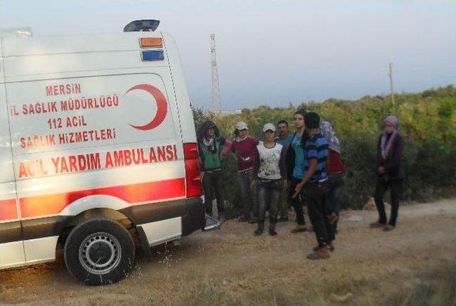 Tarım İşçilerini Taşıyan Minibüs Devrildi: 16 Yaralı