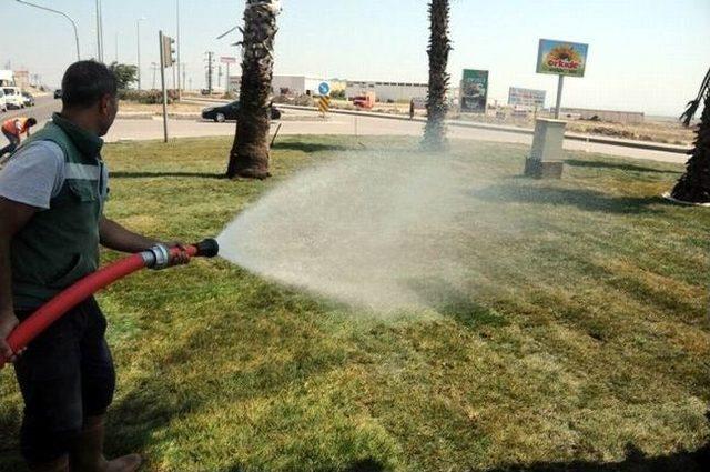 Bandırma Belediye Başkan Yardımcısı Dursun Mirza; 1