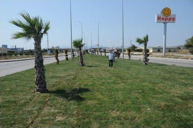 Bandırma Belediye Başkan Yardımcısı Dursun Mirza; 2