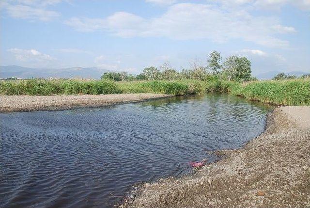 Gemlik te 4. Rekreasyon Projesi Gençali Deresinde Başladı 2