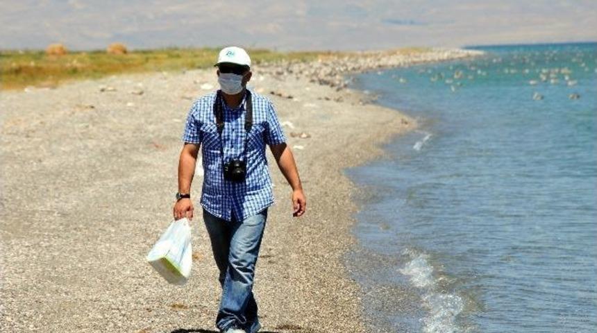 Adır Adası'nda Kuş &Ouml;l&uuml;mleri