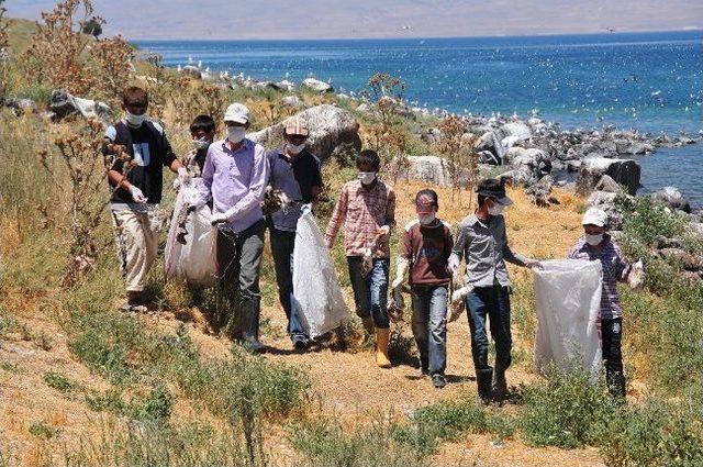 Adır Adası nda Kuş Ölümleri 3