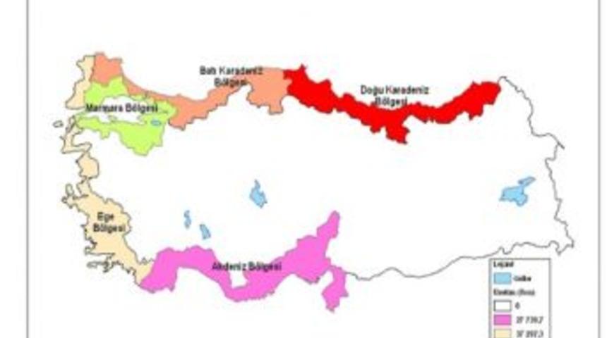 Balık &Uuml;retimi Y&uuml;zde 8,34 Azaldı