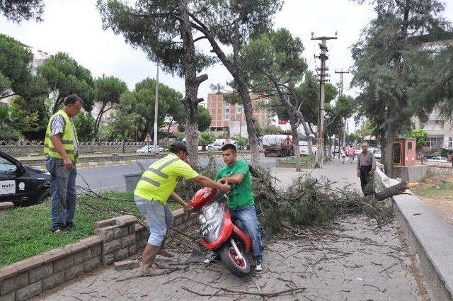 Nazilli&rsquo;de Fırtına 1 Kişiyi Yaraladı 1