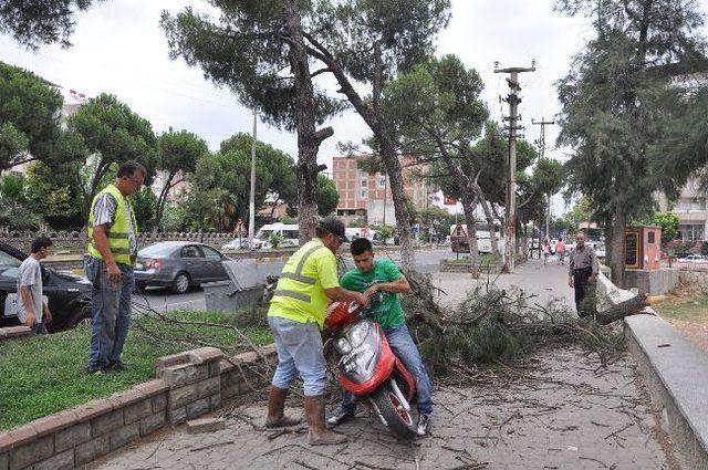 Nazilli&rsquo;de Fırtına 1 Kişiyi Yaraladı 2