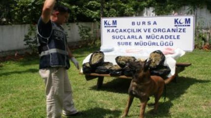 Uyuşturucu Operasyonunda 17 Bin Hap Ve 10 Kilo Esrar Ele Ge&ccedil;irildi