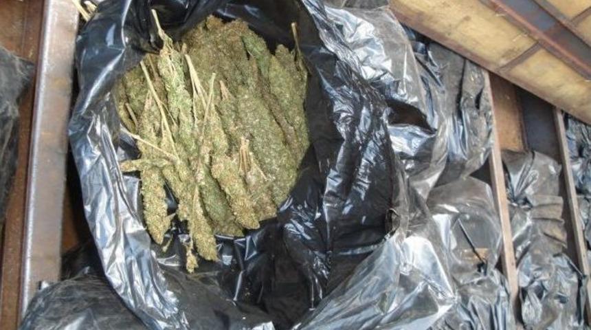 Kamyonetteki 150 Kilo Esrarı Narkotik K&ouml;peği Badi Buldu