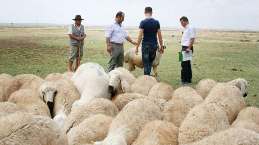 &Uuml;reticiye Parayla Eğitim Veriyorlar