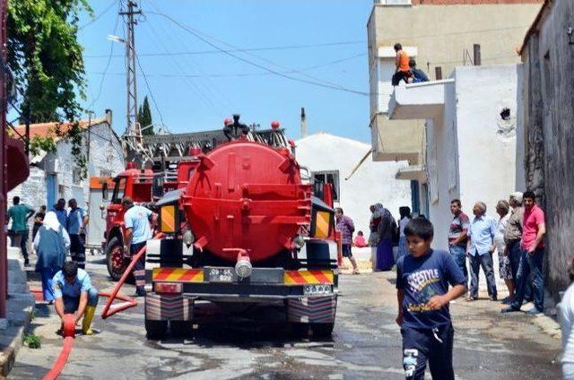 Kedilerine Mama Yaparken Evi Yakıyordu 1