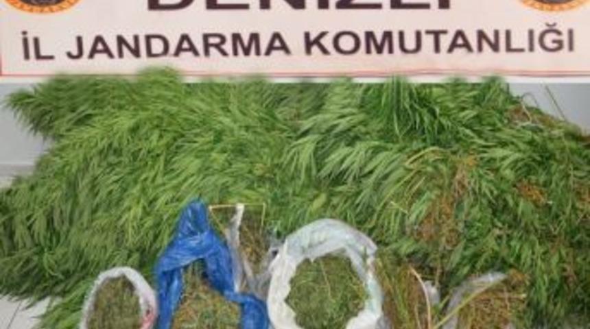Uyuşturucu Operasyonlarına 16 G&ouml;zaltı