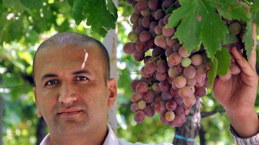 Manisa'da 'erkenci &Uuml;z&uuml;m' Hasadına Başlandı
