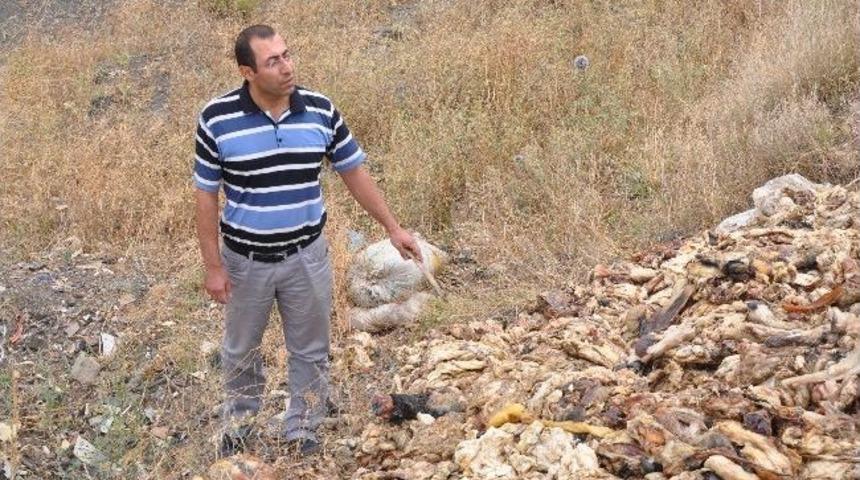 Kırıkkale&rsquo;de Ka&ccedil;ak Hayvan Kesimi İddiası