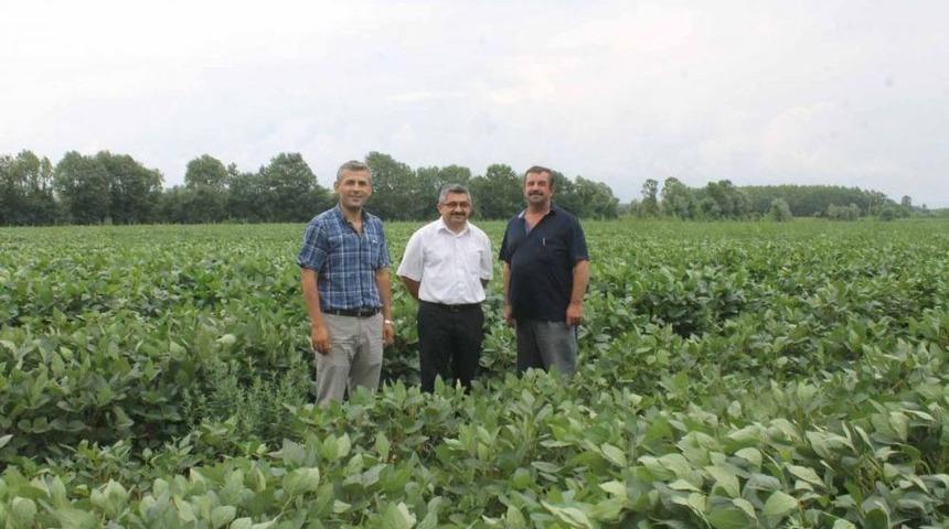 Yağ A&ccedil;ığına Yağlı Bitkilerle &Ccedil;&ouml;z&uuml;m Arayışı