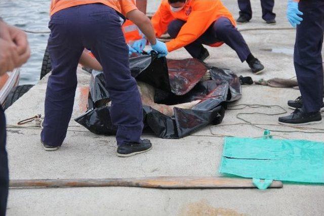 Denizde Kaybolan Şahsın Cesedi 2 Hafta Sonra Bulundu