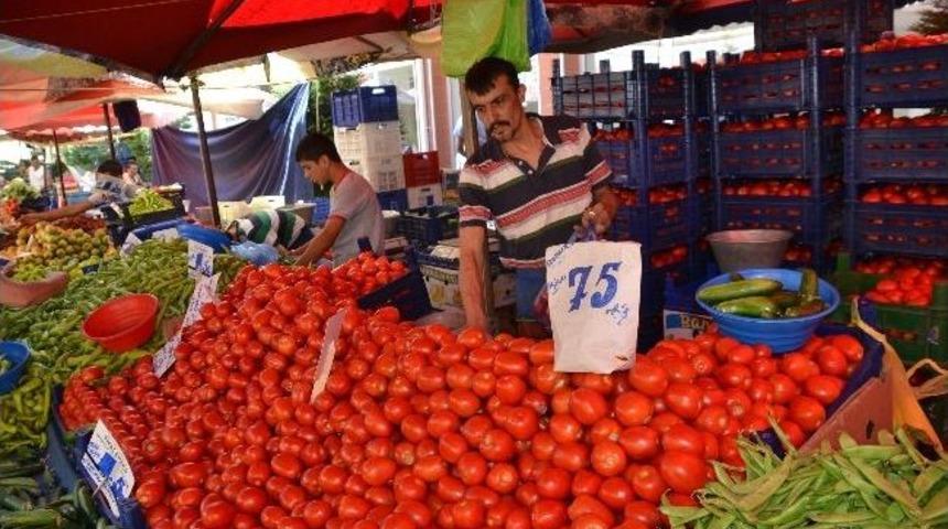 Domatesin Fiyatı Dibe Vurdu