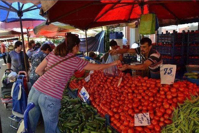 Domatesin Fiyatı Dibe Vurdu