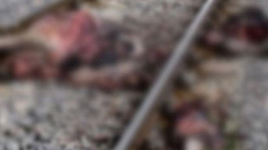 Tren s&uuml;r&uuml;ye daldı, 34 hayvan telef oldu