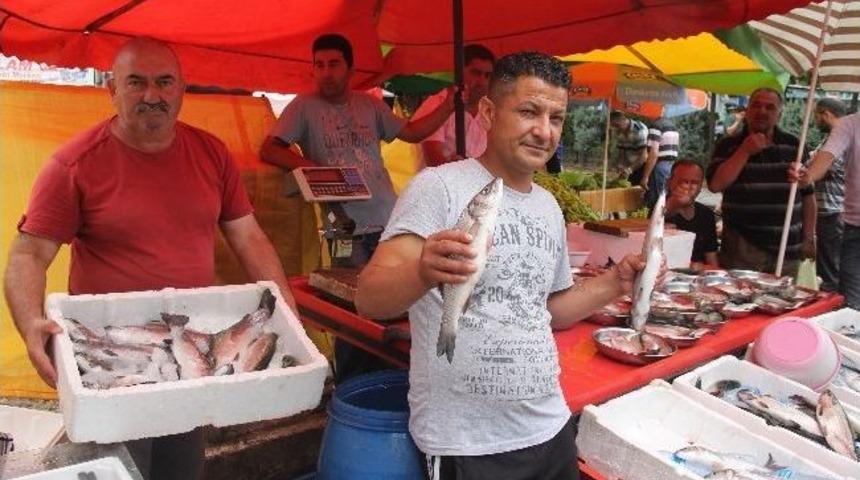 Ramazan Balık Tezgahlarını Vurdu
