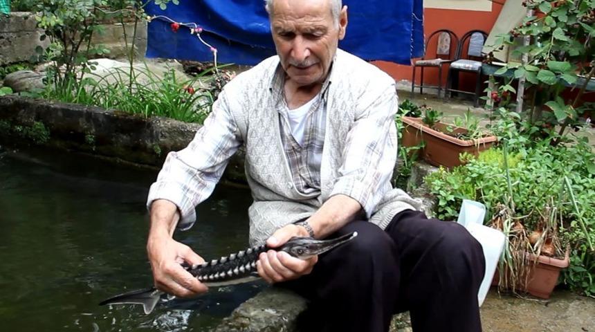 Her Şey Ağa Takılan Bir Balıkla Başladı