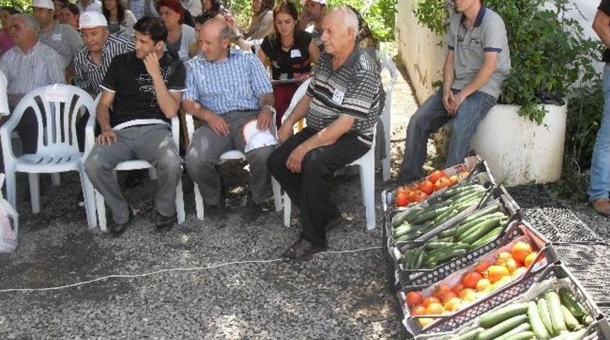 Erzurum'da İyi Tarım Uygulamaları Tarla G&uuml;n&uuml; Ve Sertifika Dağıtım T&ouml;reni Yapıldı