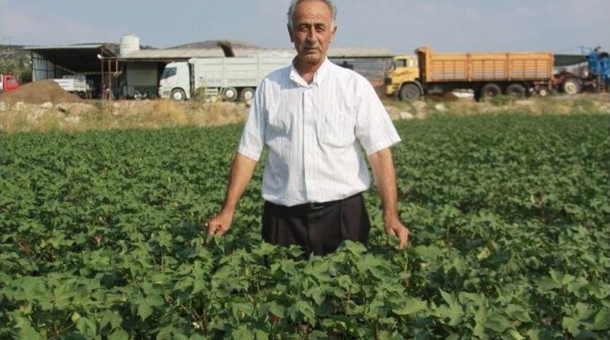 Gedaş Elektriği Kesince 3 Bin Dekar Arazi Susuz Kaldı