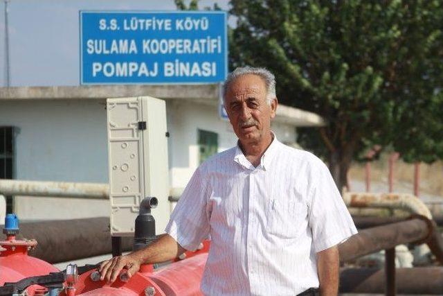 Gedaş Elektriği Kesince 3 Bin Dekar Arazi Susuz Kaldı 1