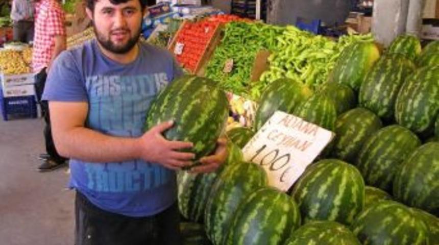 Karpuz Fiyatı Cep Yakıyor