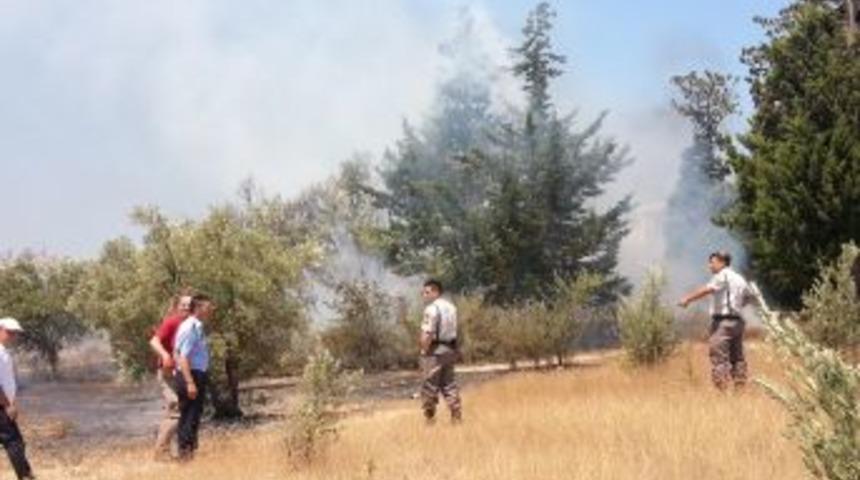 Side'de Makilik Alanda &Ccedil;ıkan Yangın S&ouml;nd&uuml;r&uuml;ld&uuml;
