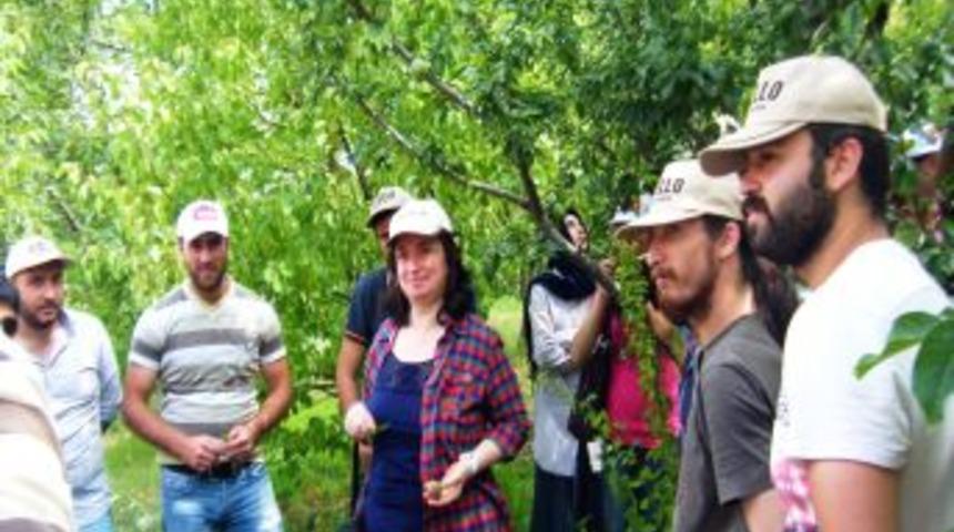 Ziraat &Ouml;ğrencileri Tarım İl M&uuml;d&uuml;rl&uuml;ğ&uuml;'n&uuml;n &Ccedil;alışmalarını Yerinde Inceledi