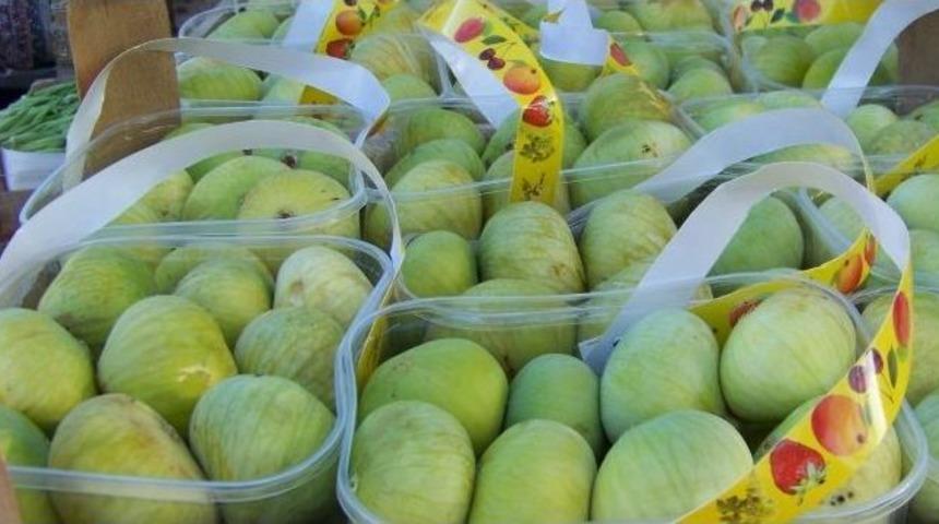 Mut&rsquo;ta İncir Hasadı Başladı