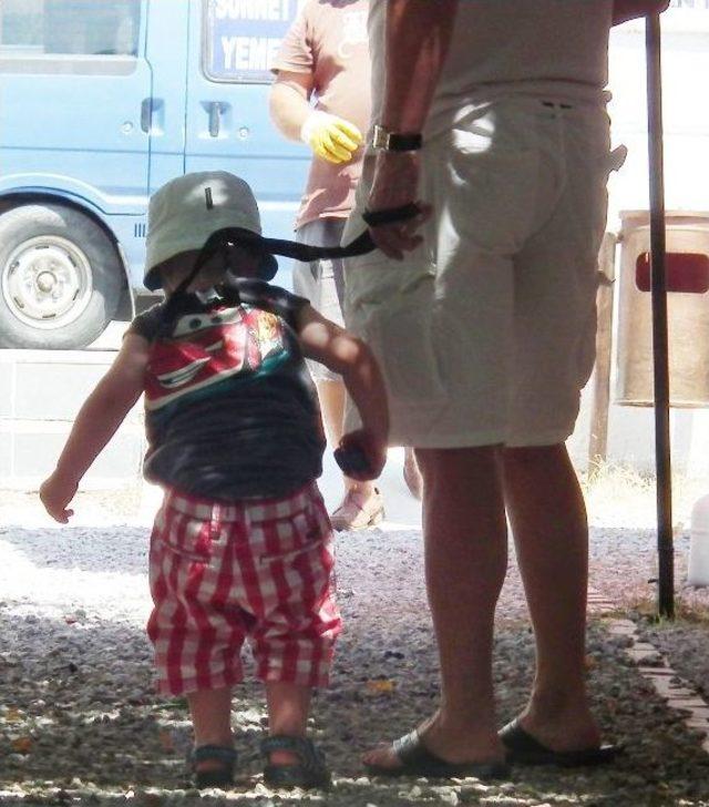 &Ccedil;ocuklarını Sırtına Bağladıkları İple Gezdiriyorlar 1