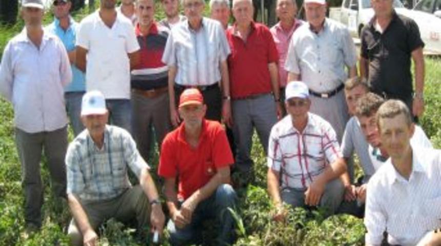 Karacabey'de Tarımsal &Uuml;r&uuml;nler Masaya Yatırıldı