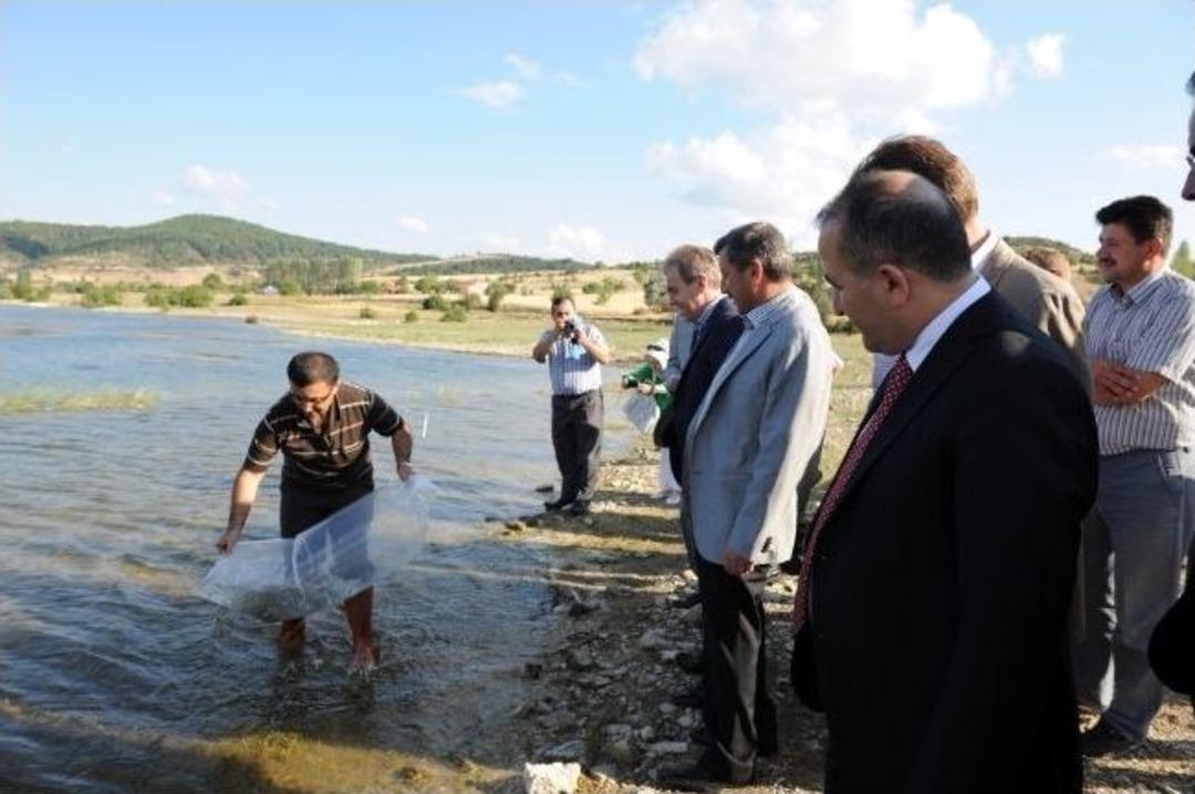 İ&ccedil; Suları Balıklandırma &Ccedil;abası S&uuml;r&uuml;yor