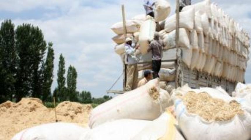 Bolluk Samana Yaklaşık 9 Kat Değer Kaybettirdi