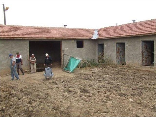 Kaçak Kazı Yapanlar Suçüstü Yakalandı 1