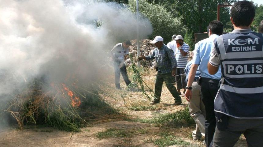 Edirne&rsquo;de 30 Bin Hint Keneviri Imha Edildi