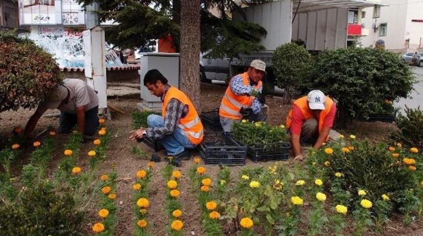 Sungurlu Belediye Başkanı Selahaddin Uzunkaya;