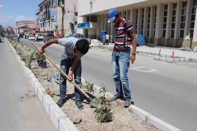 Ağrı Belediyesi&rsquo;nden Peyzaj &Ccedil;alışması 1