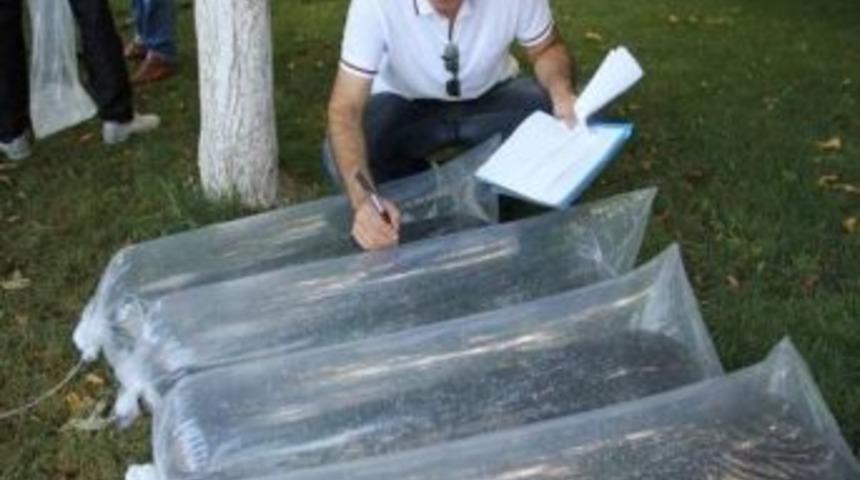 Bursa'da 5 Yılda 1,2 Milyon Sazan Yavrusu G&ouml;l Ve G&ouml;letlere Bırakıldı