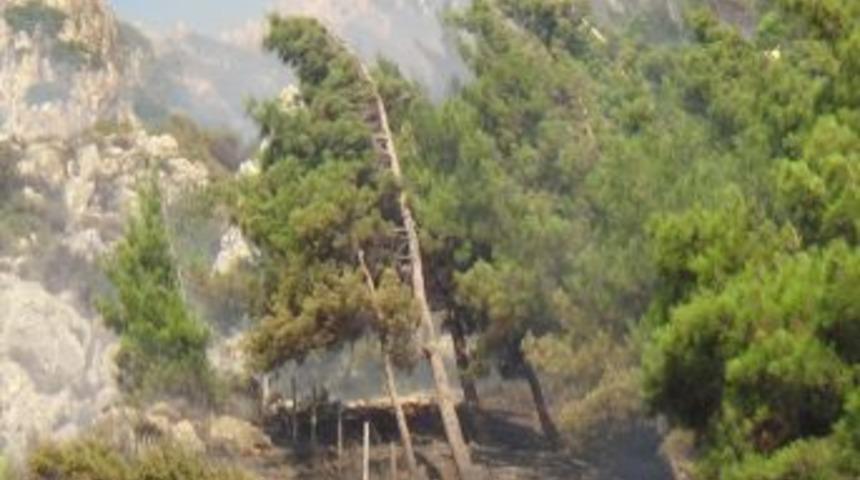 Orman Yangınında 1 Hektarlık Alan Zarar G&ouml;rd&uuml;