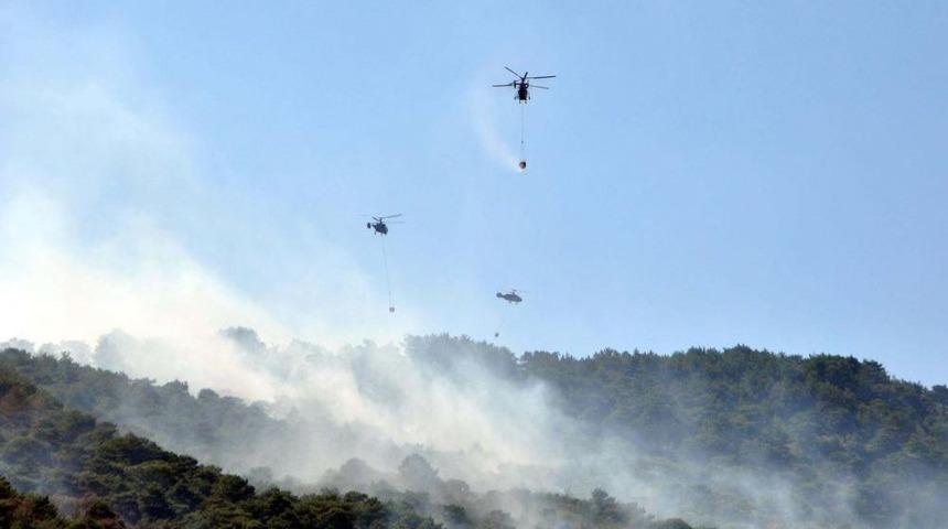 Antalya'daki Orman Yangını