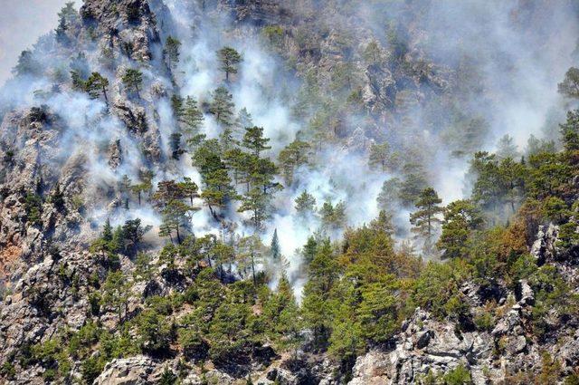 Antalya'daki Orman Yangını