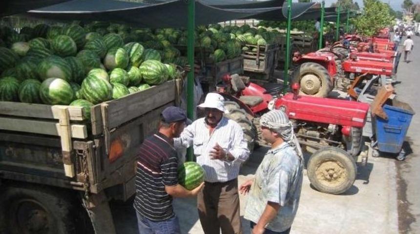 Karpuz Ödemiş Halinde 25-30 Kuruşa Düştü