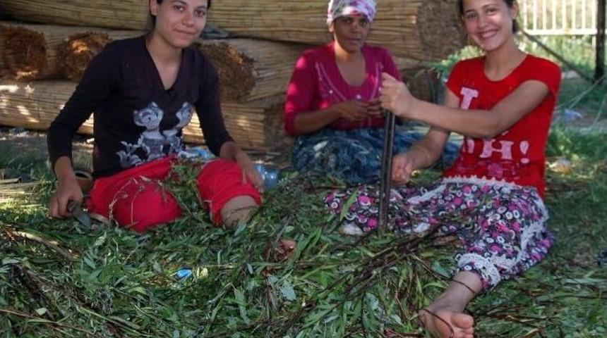 Sepet &Ouml;ren Roman Kızlar Har&ccedil;lıklarını Biriktiriyor