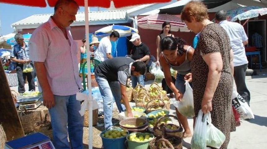 S&uuml;per İncir Didim Tezgahlarda..