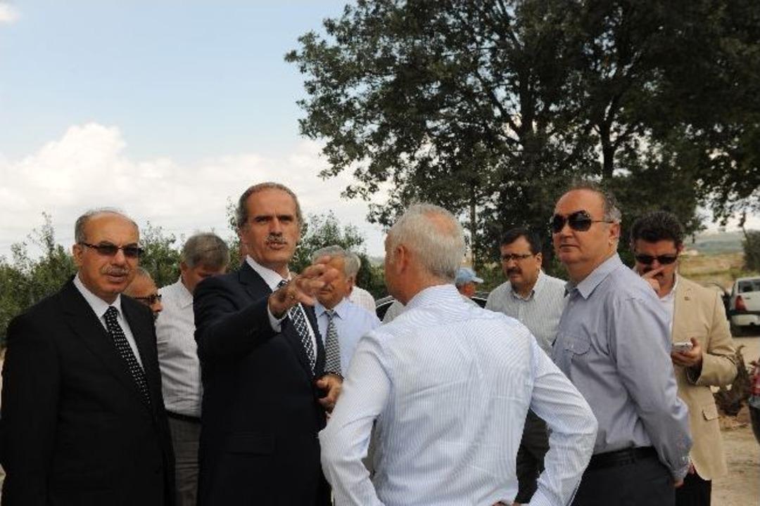 Balat, Kokudan Kurtuluyor