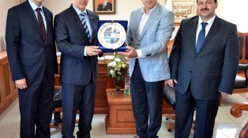 Bursa, Yalova Ve Bilecik&rsquo;e Her Yıl 1 Milyon Fidan