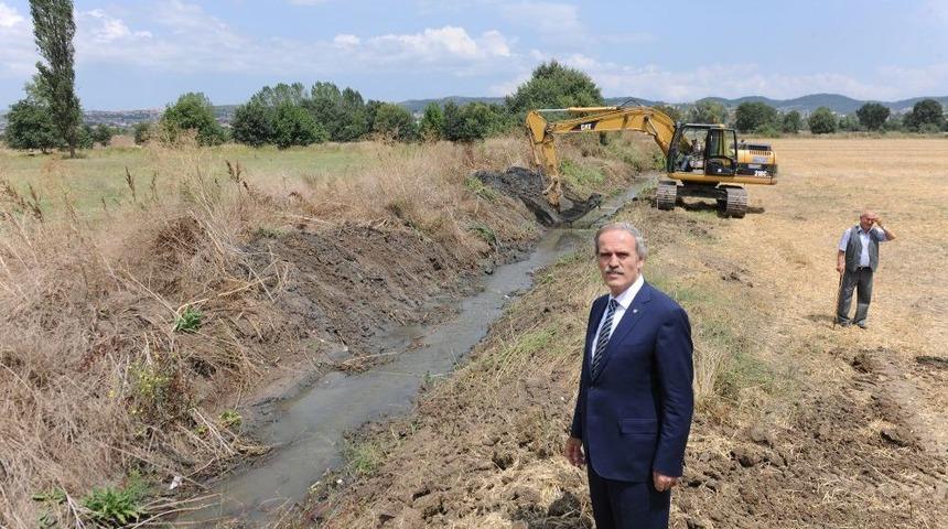 Balat, Kokudan Kurtuluyor